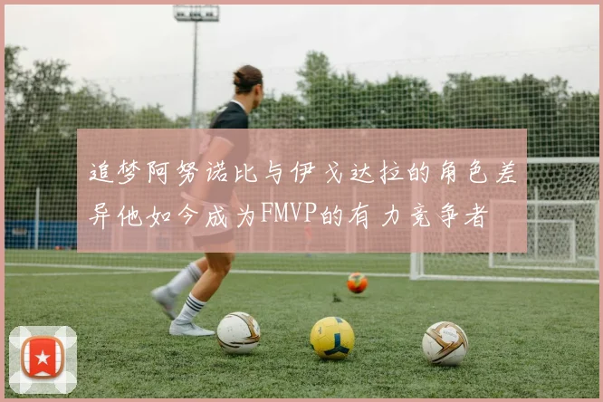 追梦阿努诺比与伊戈达拉的角色差异他如今成为FMVP的有力竞争者